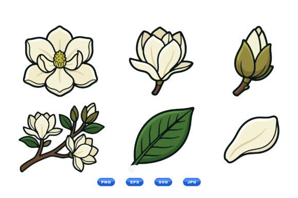 Cream Magnolia Clipart Pack Review